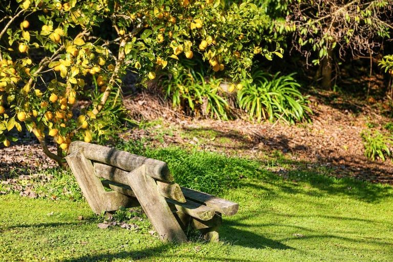 Photo of property in 79 Gradara Avenue, Otorohanga, 3900