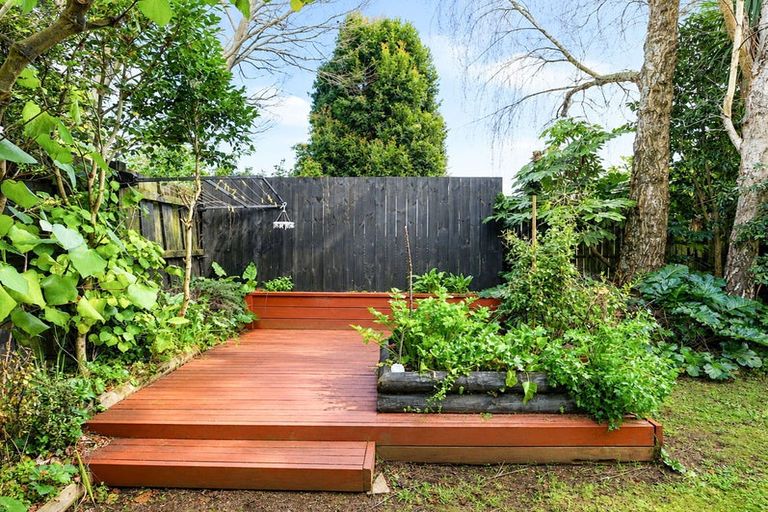 Photo of property in 24 Myrtle Street, Hamilton East, Hamilton, 3216