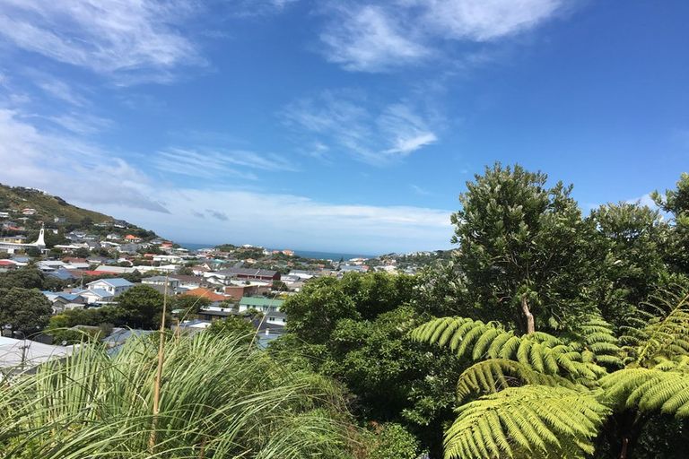 Photo of property in 133 Eden Street, Island Bay, Wellington, 6023