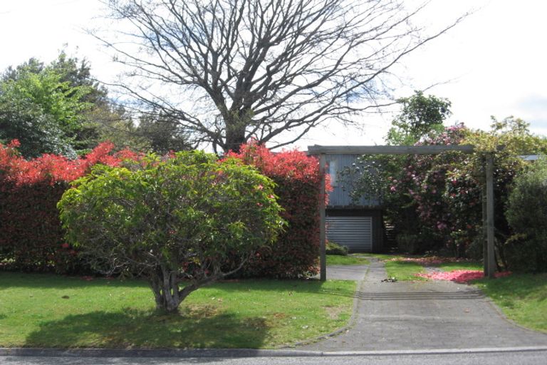 Photo of property in 8 Williams Street, Taupo, 3330