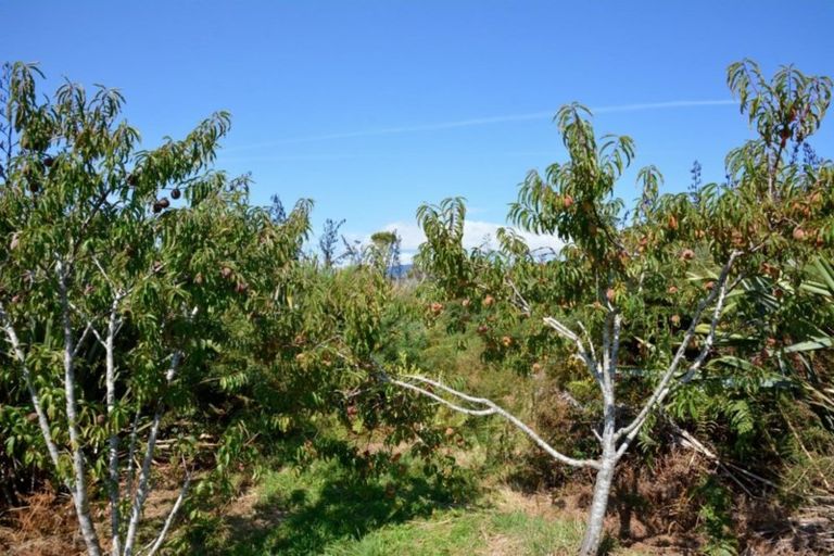 Photo of property in 107 South Terrace Road, Karamea, 7893