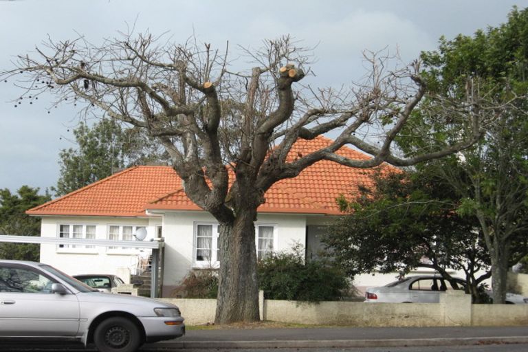 Photo of property in 10 Masters Avenue, Hillcrest, Hamilton, 3216