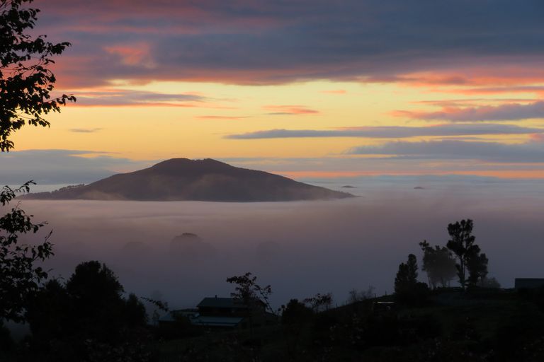 Photo of property in 299 Pekanui Road, Puketotara, Te Awamutu, 3876