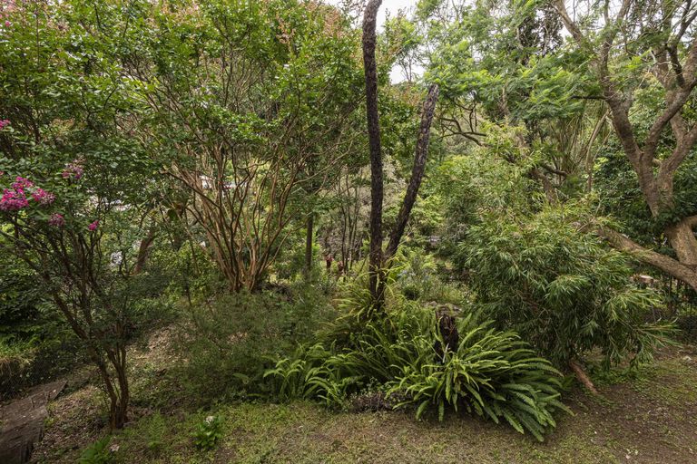 Photo of property in 42 Bedlington Street, Whau Valley, Whangarei, 0112