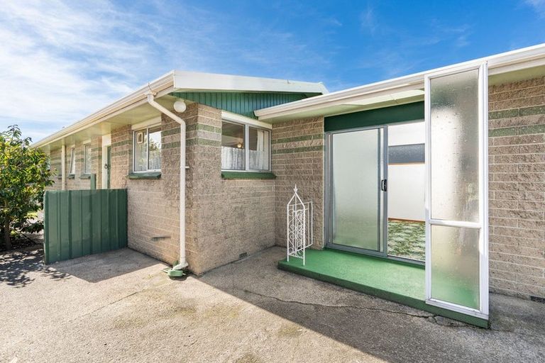 Photo of property in 31 David Street, Caversham, Dunedin, 9012