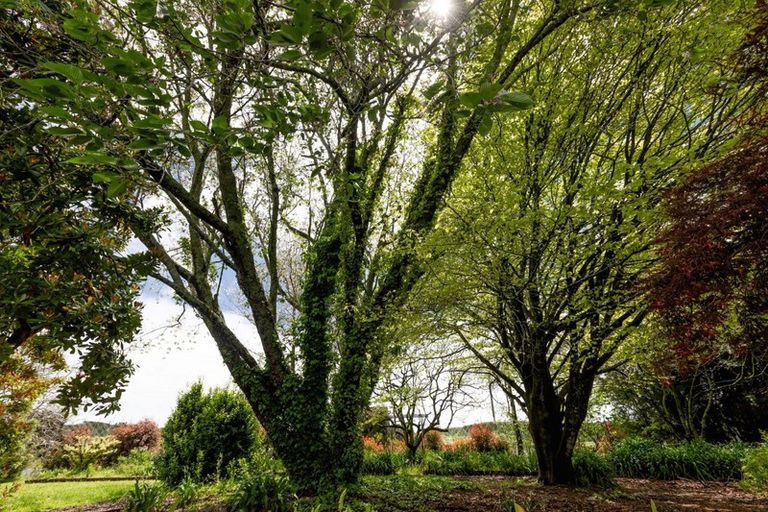 Photo of property in 29 Lemon Road, Paengaroa, Te Puke, 3189