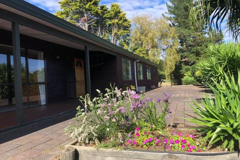 Photo of property in 56 State Highway 33, Tikitere, Rotorua, 3074