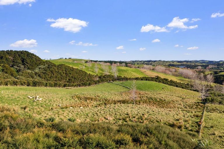 Photo of property in 161 Ranganui Road, Kaiwaka, 0573