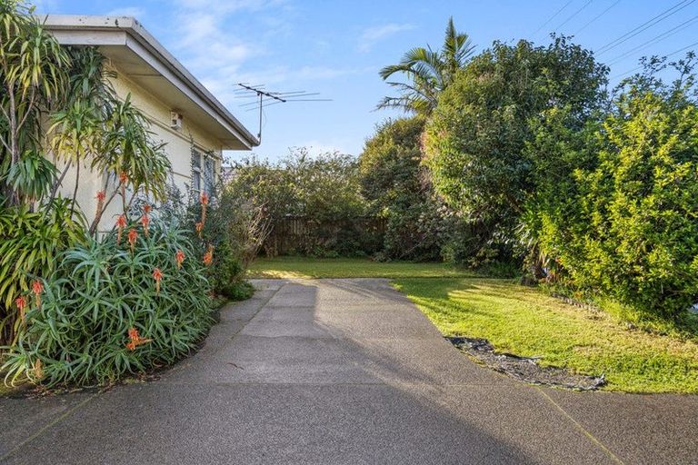 Photo of property in 115 Puhinui Road, Papatoetoe, Auckland, 2104