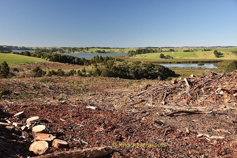 Photo of property in 186 Metcalfe Road, Ranui, Auckland, 0612