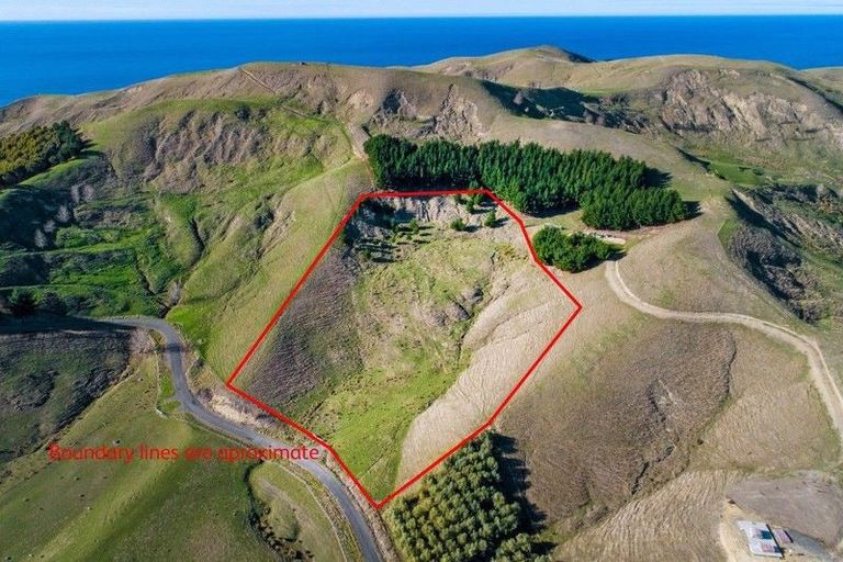 Photo of property in 58 Waipuka Road, Waimarama, 4294