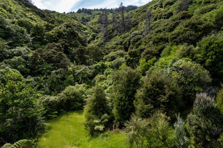 Photo of property in 24 Amelia Crescent, Waikawa, Picton, 7220