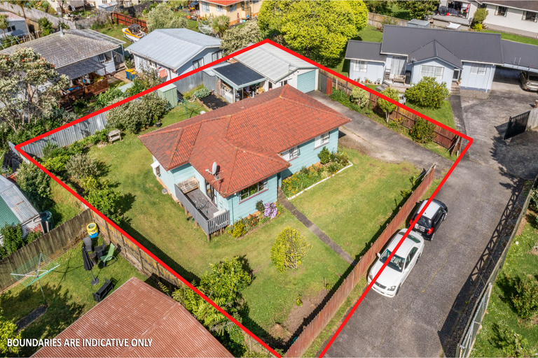 Photo of property in 12 Hinerau Street, Henderson, Auckland, 0612