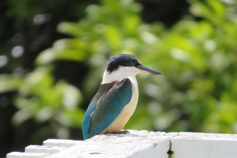 Photo of property in 299 Pekanui Road, Puketotara, Te Awamutu, 3876