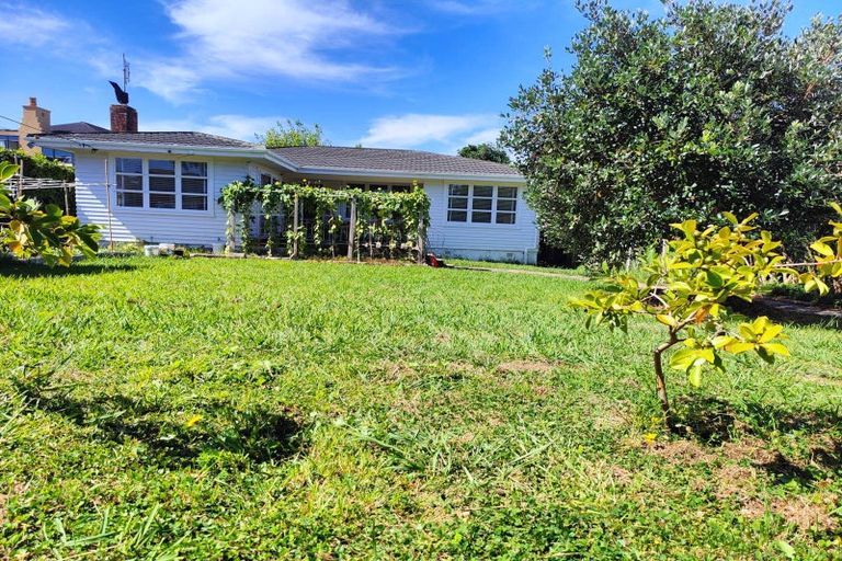 Photo of property in 55 Williamson Avenue, Belmont, Auckland, 0622