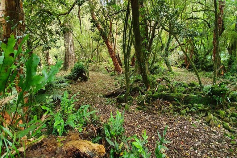 Photo of property in 439 Engelbrechts Road, Hunter, Waimate, 7978