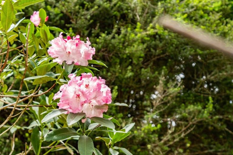 Photo of property in 6754 State Highway 12, Waimamaku, Kaikohe, 0473