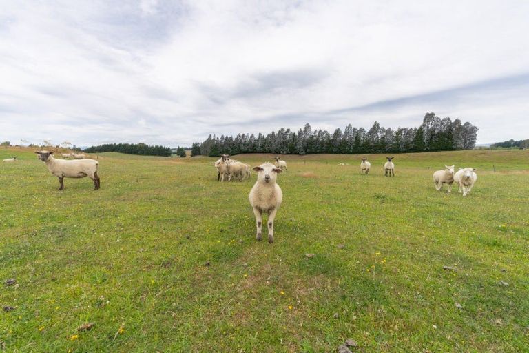 Photo of property in 10 Black Lane, Te Anau, 9672