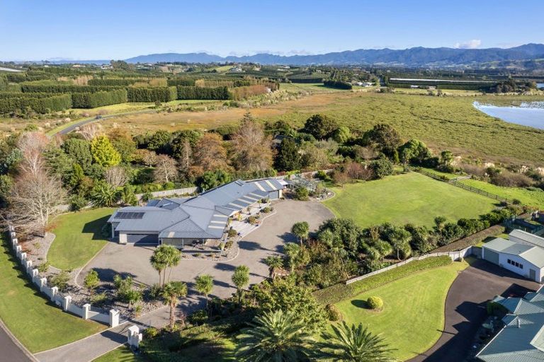 Photo of property in 365 Tuapiro Road, Tahawai, Katikati, 3170