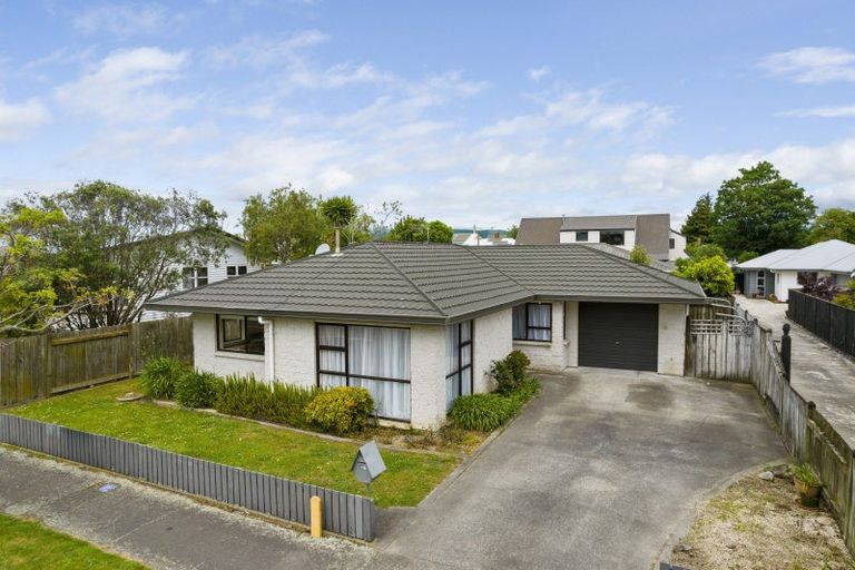 Photo of property in 98b Limbrick Street, Terrace End, Palmerston North, 4410