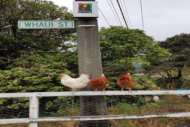 Photo of property in 15a Whaui Street, Vogeltown, Wellington, 6021