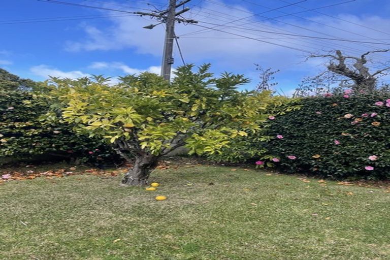 Photo of property in 336 Royal Road, Massey, Auckland, 0614