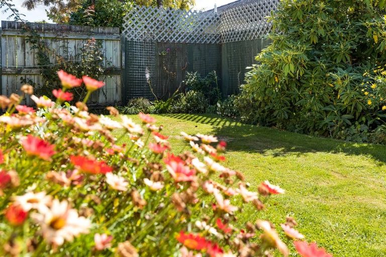 Photo of property in 31b Litchfield Street, Redwoodtown, Blenheim, 7201