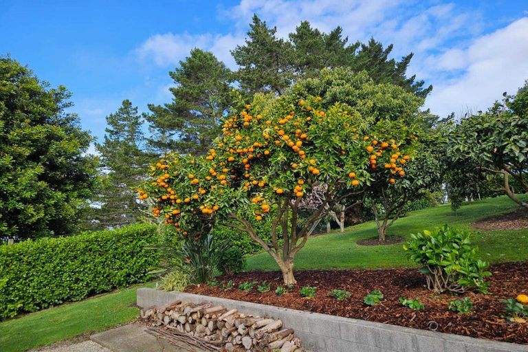 Photo of property in 17 Wallace Place, Tauriko, Tauranga, 3110