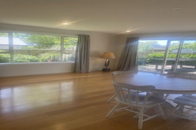 Photo of property in 199 Ashgrove Terrace, Somerfield, Christchurch, 8024