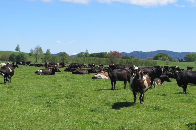 Photo of property in 2/30 Mathers Road, Hoon Hay, Christchurch, 8025