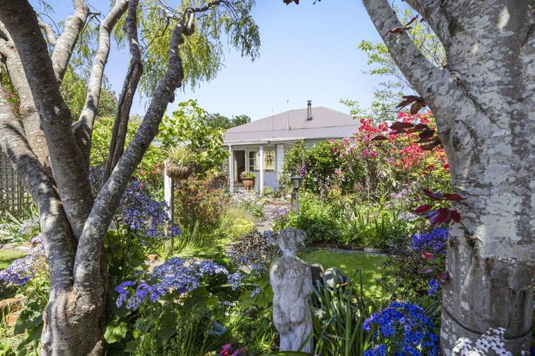 Photo of property in 47 Patu-kukupa Street, Manaia, 4612