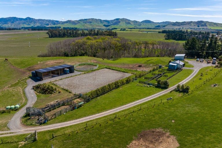 Photo of property in 59 Marama Road, Seddon, 7285