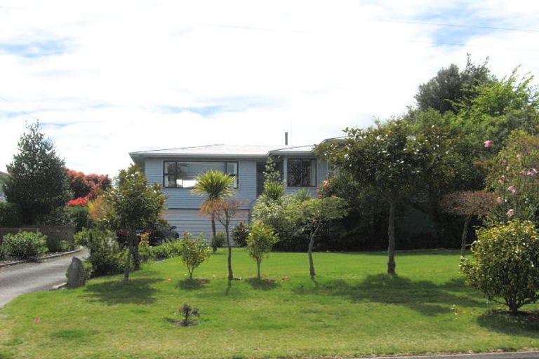 Photo of property in 6 Williams Street, Taupo, 3330