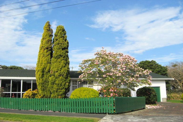 Photo of property in 14 Mason Terrace, Gonville, Whanganui, 4501