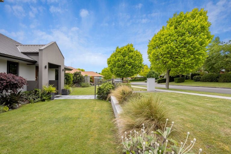 Photo of property in 38 Elmwood Avenue, Witherlea, Blenheim, 7201