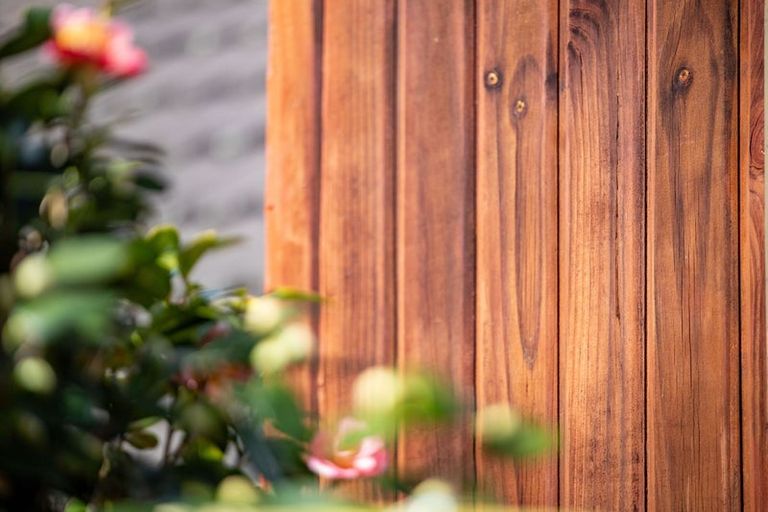 Photo of property in 18c Clifton Road, Hamilton Central, Hamilton, 3204