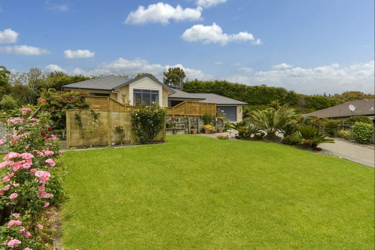 Photo of property in 15 Rowesdale Drive, Ohauiti, Tauranga, 3112