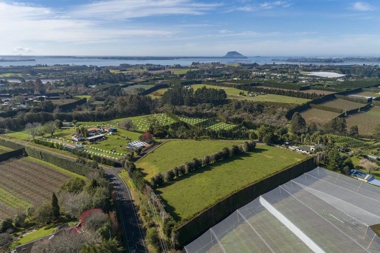 Photo of property in 198b Snodgrass Road, Te Puna, Whakamarama, 3174