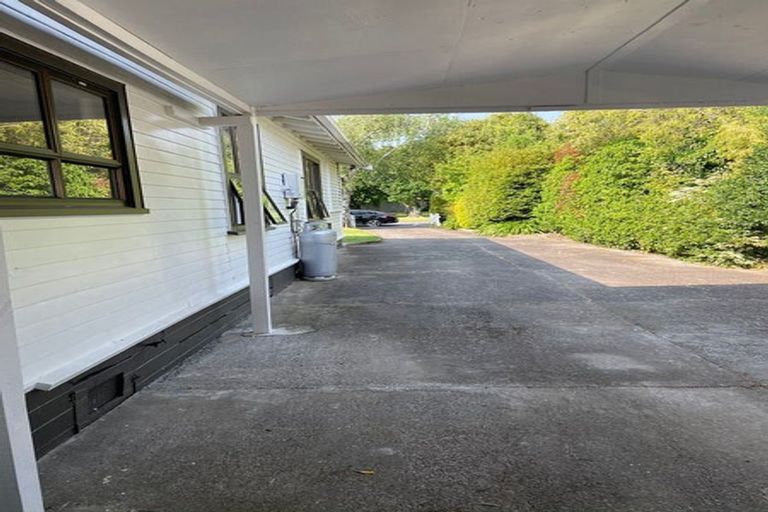 Photo of property in 74 Naples Street, Martinborough, 5711