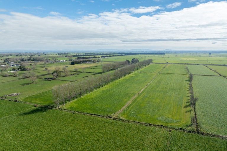 Photo of property in 258 Holland Road, Puketaha, Hamilton, 3286