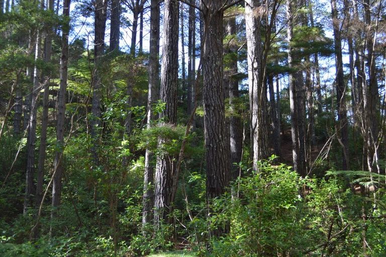 Photo of property in 478 Port Charles Road, Waikawau, Coromandel, 3584