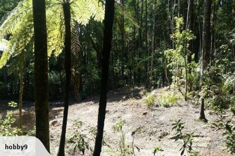 Photo of property in 19 Hobson Road, Lucas Heights, Auckland, 0632