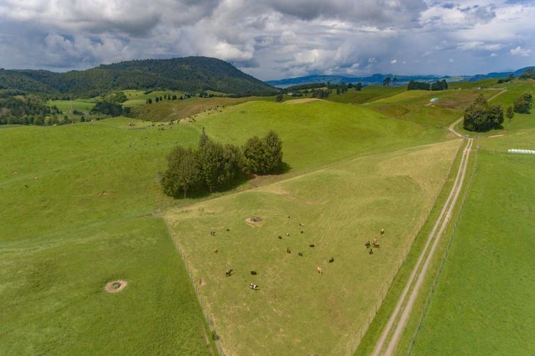 Photo of property in 96 Te Miri Road, Ngongotaha Valley, Rotorua, 3072