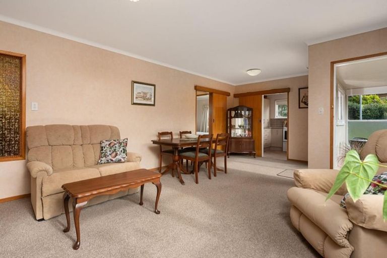 Photo of property in 35a Balmoral Terrace, Otumoetai, Tauranga, 3110