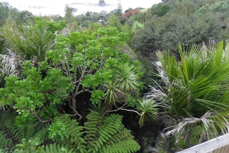 Photo of property in 103 Leigh Road, Leigh, 0985