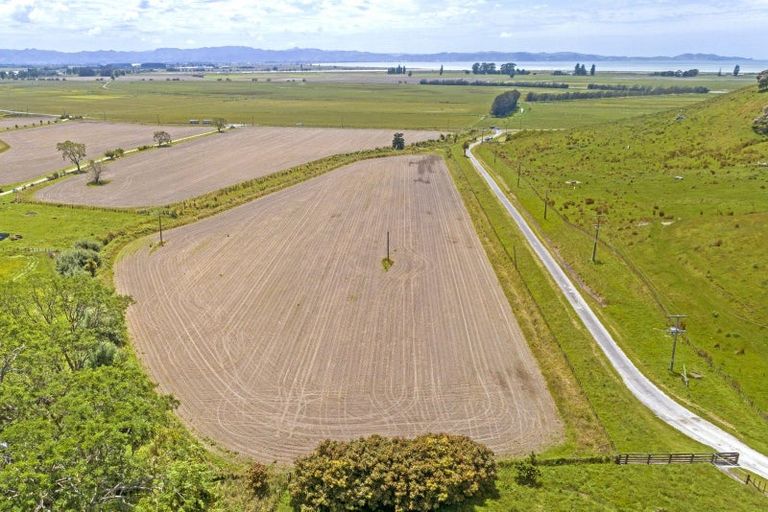 Photo of property in 1266 Wharerata Road, Muriwai, Gisborne, 4072