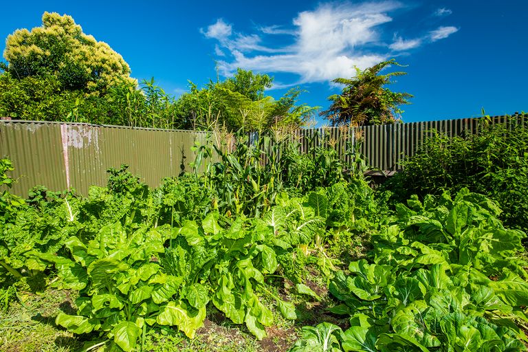 Photo of property in 140 Lucknow Street, Wairoa, 4108