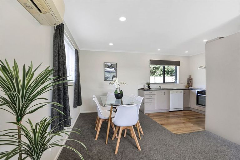 Photo of property in 20a Eton Street, Hampstead, Ashburton, 7700