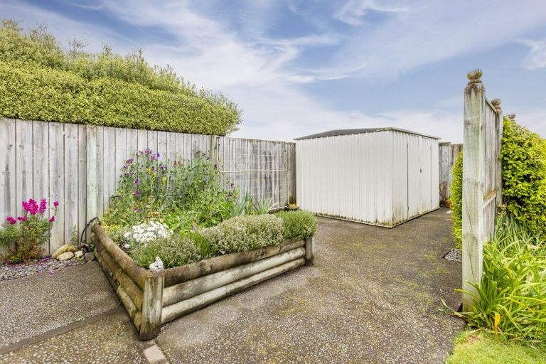 Photo of property in 14 Belgrove Place, Waipukurau, 4200