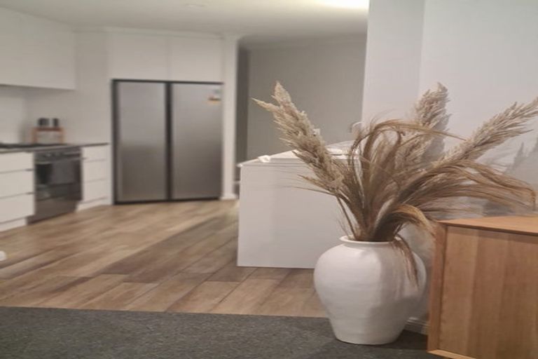 Photo of property in 24 Bramley Street, Richmond, 7020